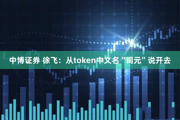 中博证券 徐飞：从token中文名“词元”说开去